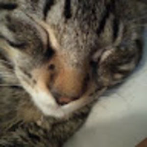 Meet your Posher, Miriam